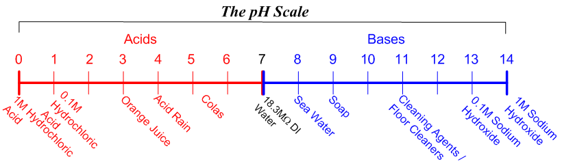 pH Scale 0-14. A pH value <7 represents and acid while a pH > 7 is a base